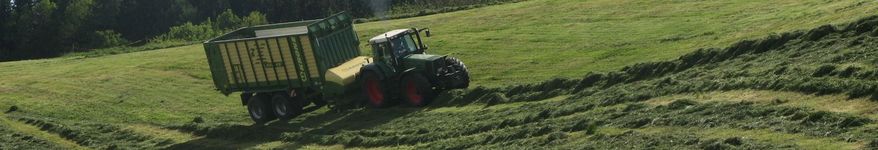 fendt-924-krone-zx-450-loritz.jpg